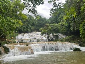 Khu du lịch Đại Lâm