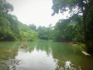 Khu du lịch Đại Lâm
