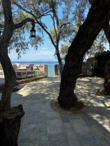 APIJA Studio - Sikéa