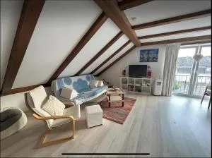 Must love dogs - 米尔海姆-克尔利希