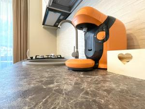 Alpine River Home with Peace and Mountain View