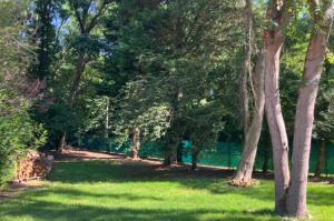 Maisons de vacances Gite cosy proche Fontainebleau et foret : photos des chambres