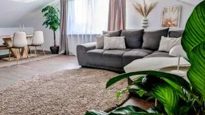 Blackforest Apartment Schömberg - 豪富基森安德恩茨