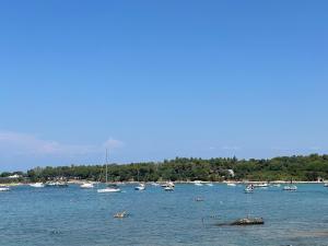 Baden Resort Bašanija, Umag-with Sea View, Parking and 300m from the beach 