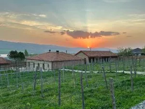 Vineyard Cottages - Bashkʼo