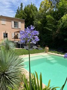 Maisons de vacances La villa Pausa en Drome provencale : photos des chambres