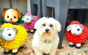 La Bergerie Du Moulin