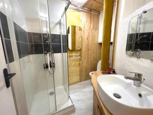 Appartements Le Rousseau Studio hyper centre : photos des chambres