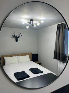 Summer Alps Apartment