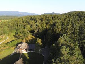 Počitniška hiška v gozdnem raju 