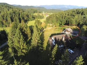 Počitniška hiška v gozdnem raju 