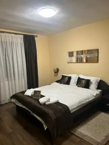 Casa Alex Rasnov - Vulcan