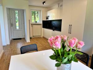 Apartamenty Lotnisko Leszno