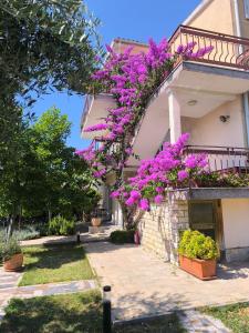 Apartments Lirio 