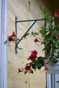 Apartament w zabytkowym budynku