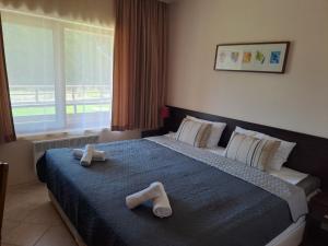 Panorama Stoykite Orpheus