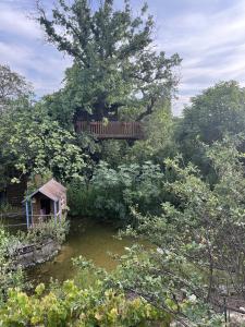 Chalets Clos des Fontaines - Chalet : photos des chambres