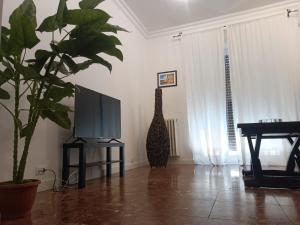 Beauty apartment in the green, direct link with center