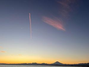 gesthouse better half