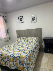 Apartamento Fontana 3