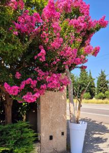 Logis Hôtel Le Mistral - Restaurant - Montélimar Sud