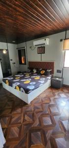 Skyview Villa Udaipur with private pool 4Bhk Villa