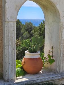 B&B / Chambres d'hotes Les Cactus Bleus : photos des chambres