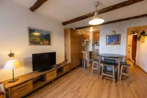 Charmant studio avec balcon - Le Sauze - Enchastrayes