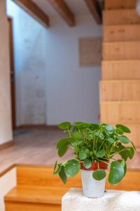 B&B / Chambres d'hotes Les Greniers Du Chateau : photos des chambres