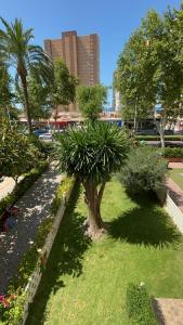 Luxury Family Levante Beach