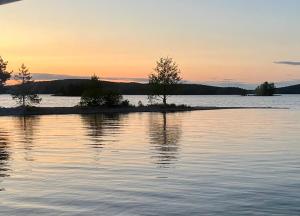 Tyylikäs jahti Vääksyn kanavan lähellä