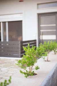 Διαμέρισμα με αυλή