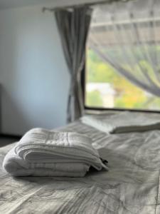 La Ilie la spălătorie