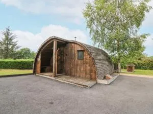 Kingfisher - Llanafan-fawr