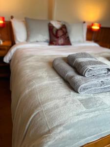 Frog Cottage, Ludlow - a charming townhouse for 4