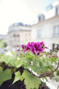 Hotels Hotel Corona -Rodier- : photos des chambres
