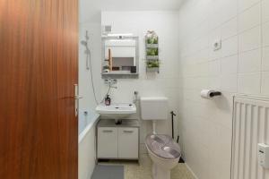 Cosy and Bright Apartment