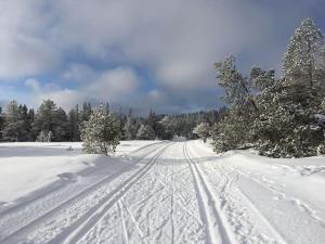 Villa suitable for 8 during XC championship