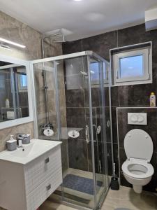 Apartman Curcic 1