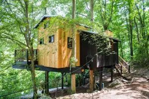 Treetop Hideaways: The Elements Treehouse - Flintstone