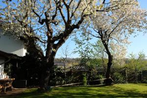 Charmantes Appartment mit Yogastudio & Sauna