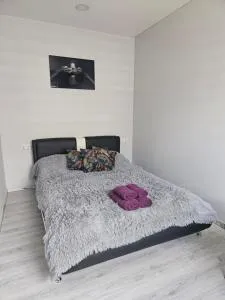 Kaunas Pramogų kambarys - Shantsy