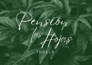 Pensión las Hojas - Magallón