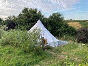Glamping Meadow Bell Tent
