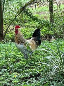 Surfers Paradise - Cabin next to Yankee Beach