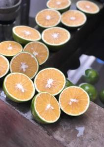 Surfers Paradise - Cabin next to Yankee Beach
