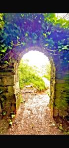 The Little House With The Red Door