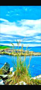 The Little House With The Red Door