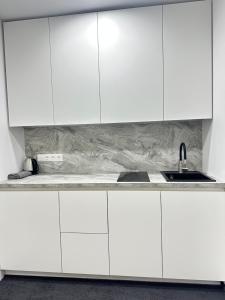 SILVIA apartment 101