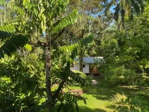 Caribbean Retreats - Nievecito